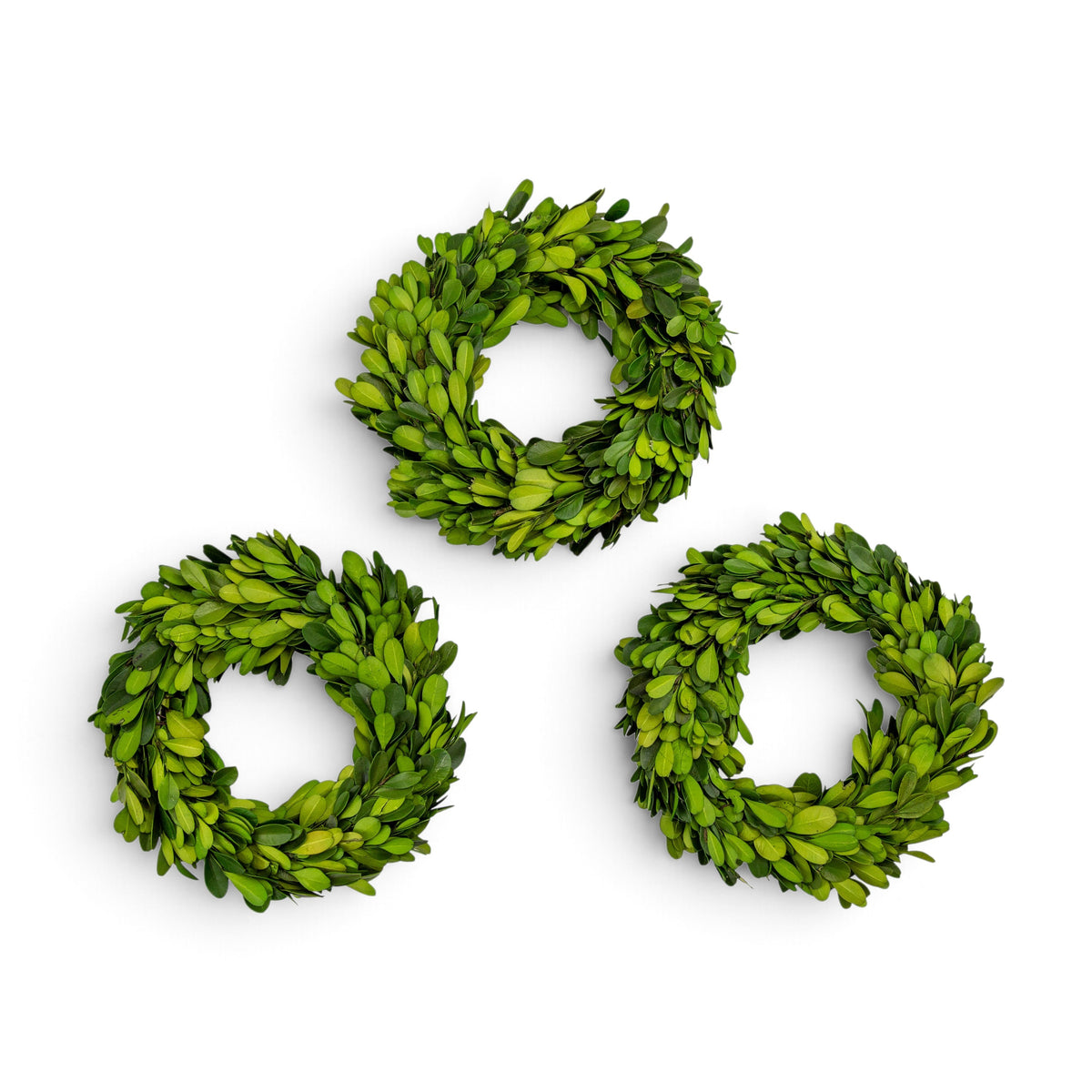 Three real preserved boxwood green leafy wreaths arranged on a plain white background.