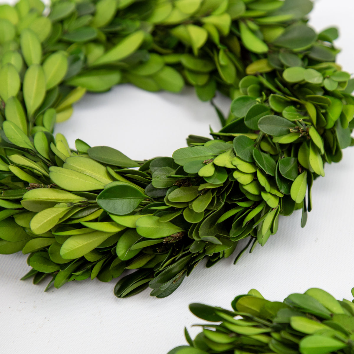 A real preserved boxwood green leafy wreath made of dense oval-shaped foliage, photographed on a plain white background with a smaller cropped section visible in the lower right corner.