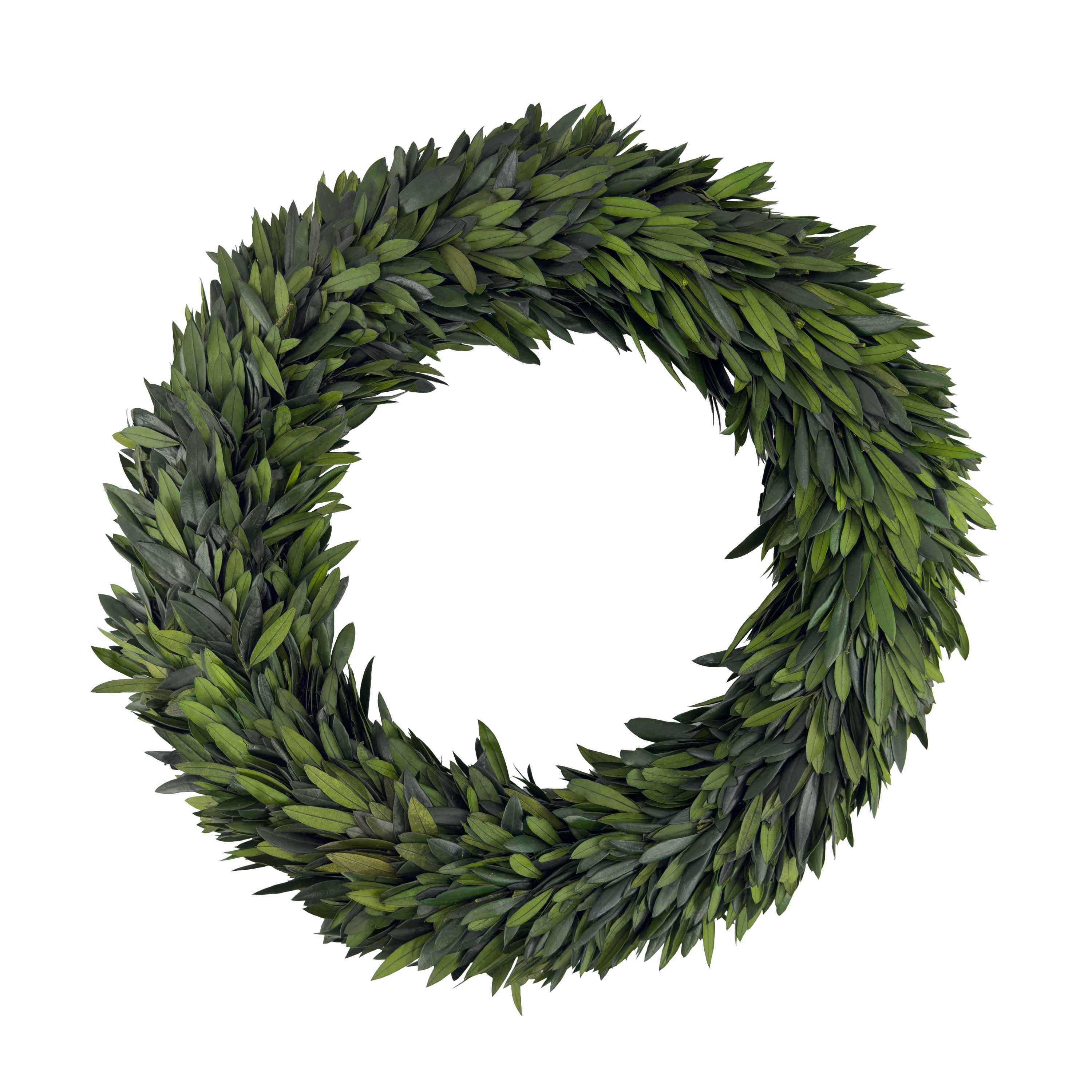 20" Preserved Olive Wreath