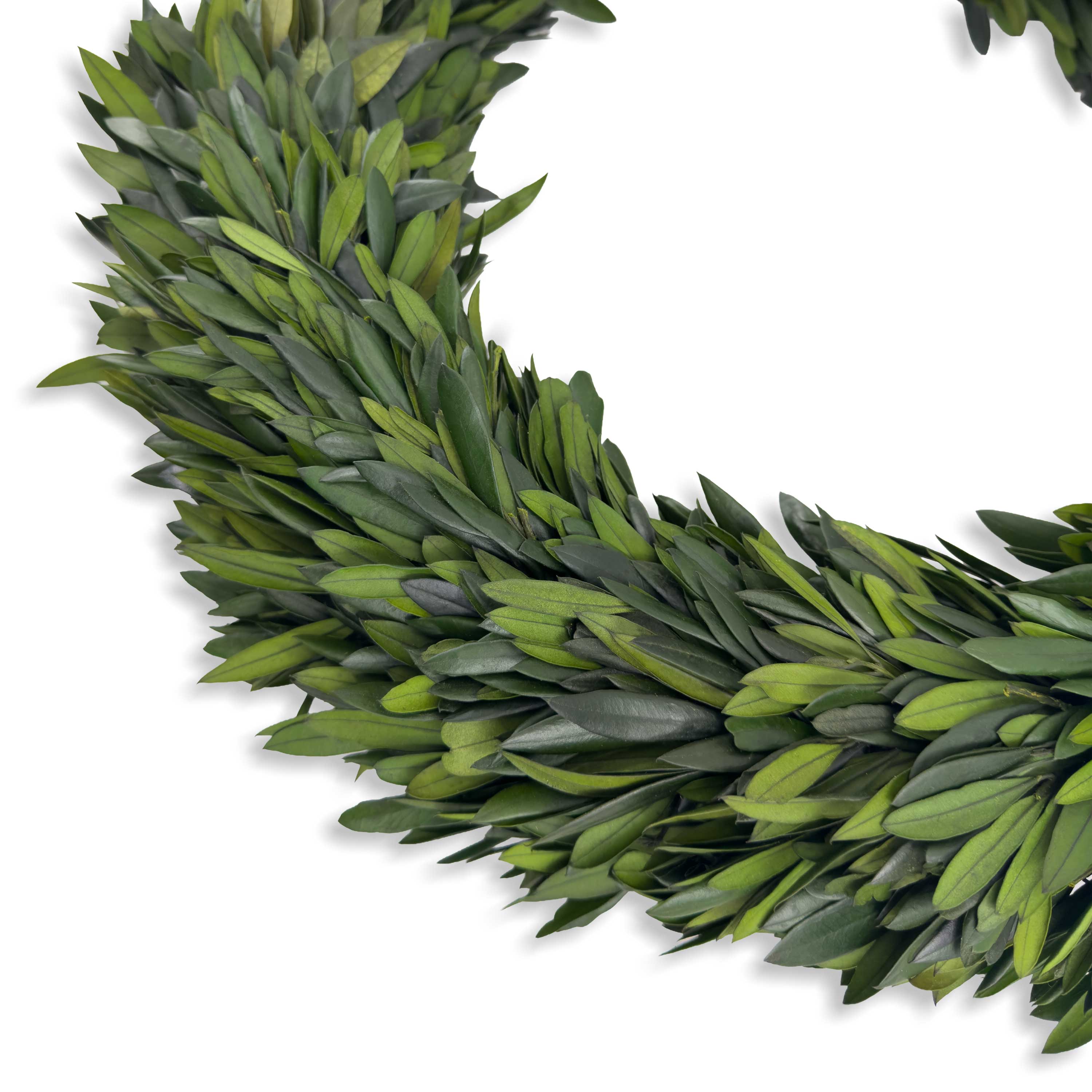 20" Preserved Olive Wreath