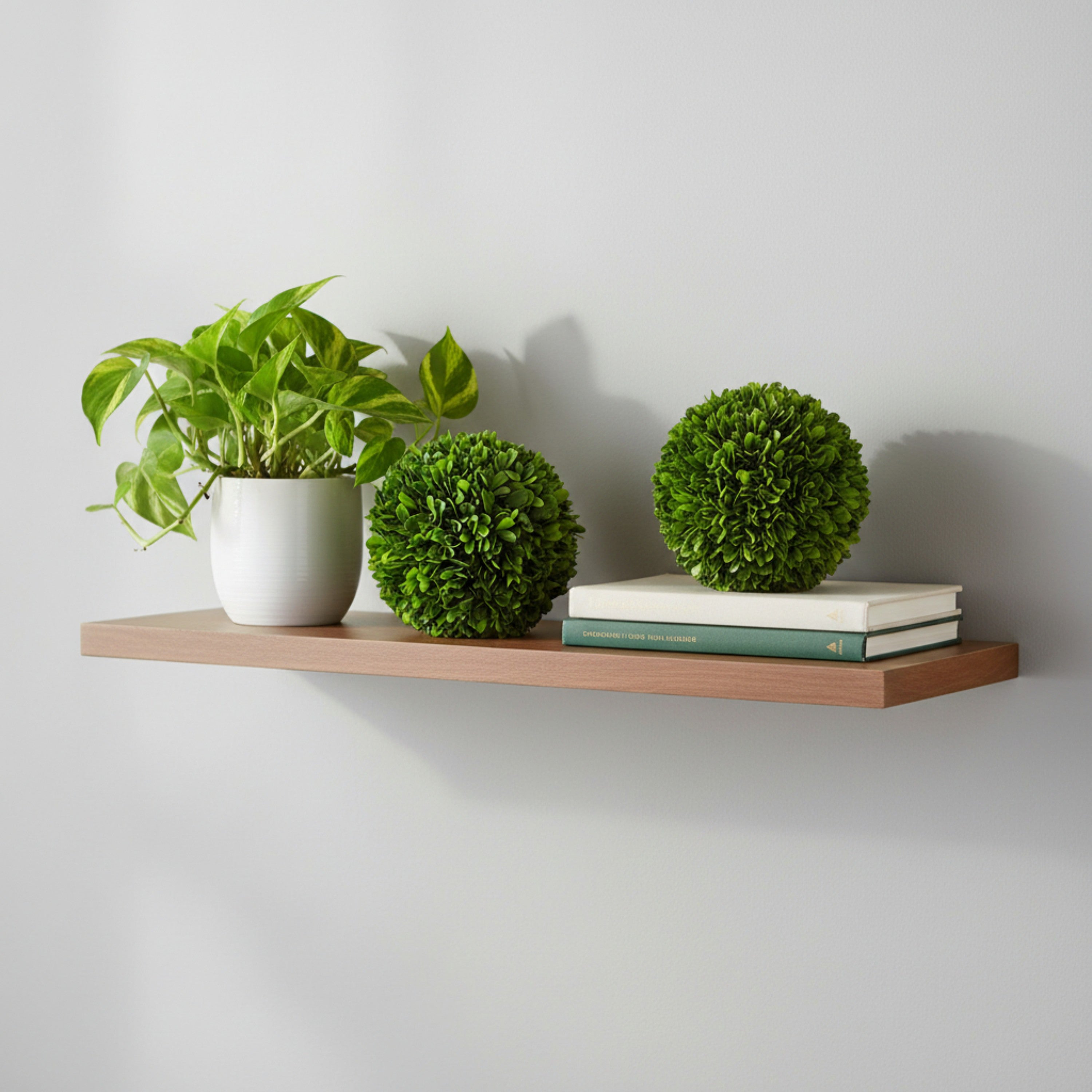 6" Preserved Boxwood Ball, 2Pk