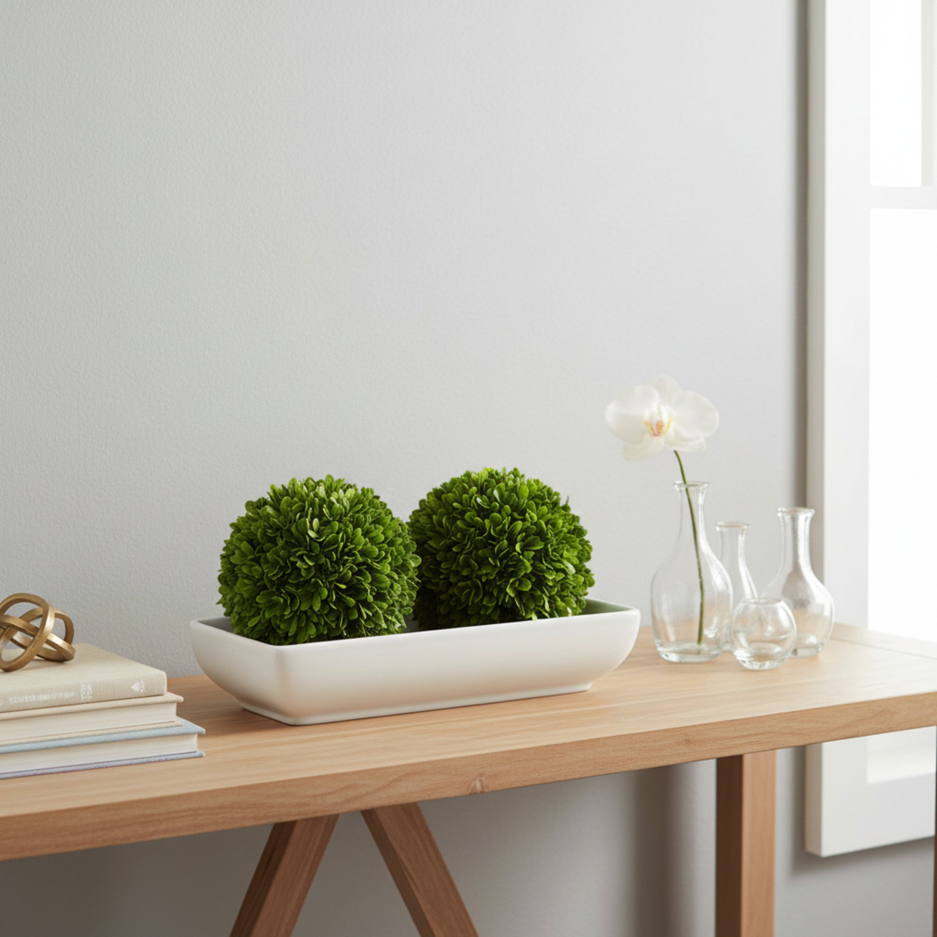 6" Preserved Boxwood Ball, 2Pk