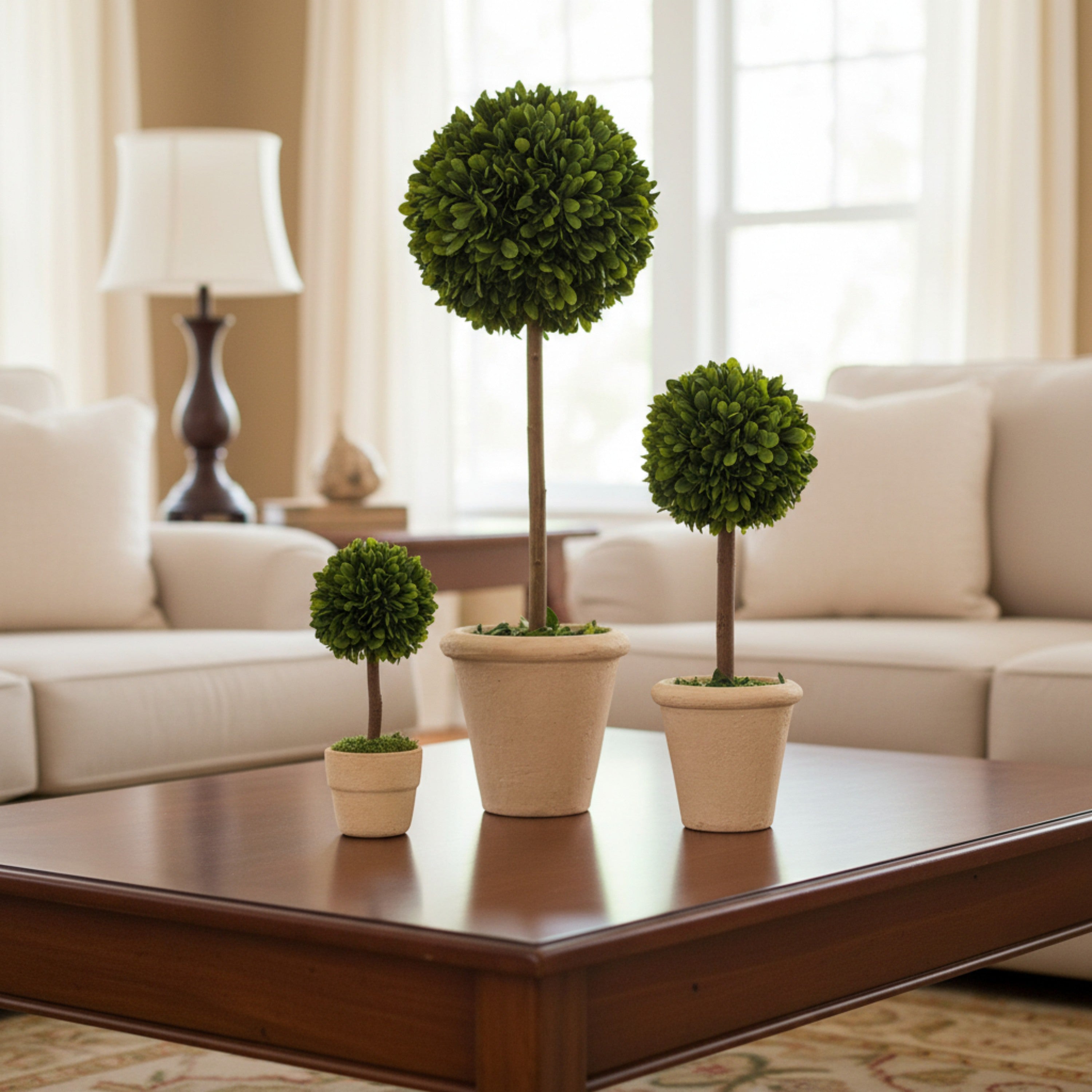 Set of 3 Preserved Single-ball Boxwood Topiary Pots