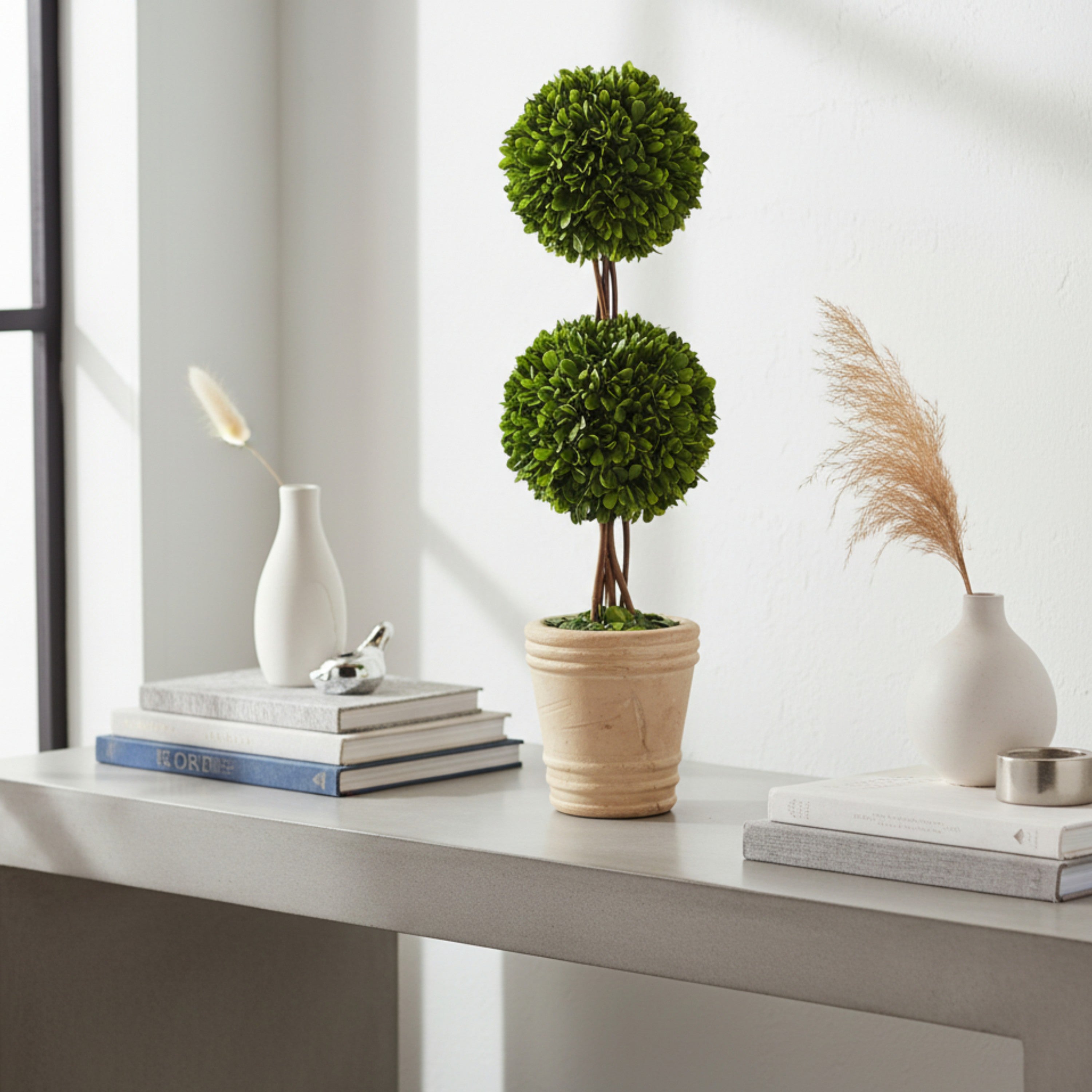 20" Preserved Double-Ball Boxwood Topiary