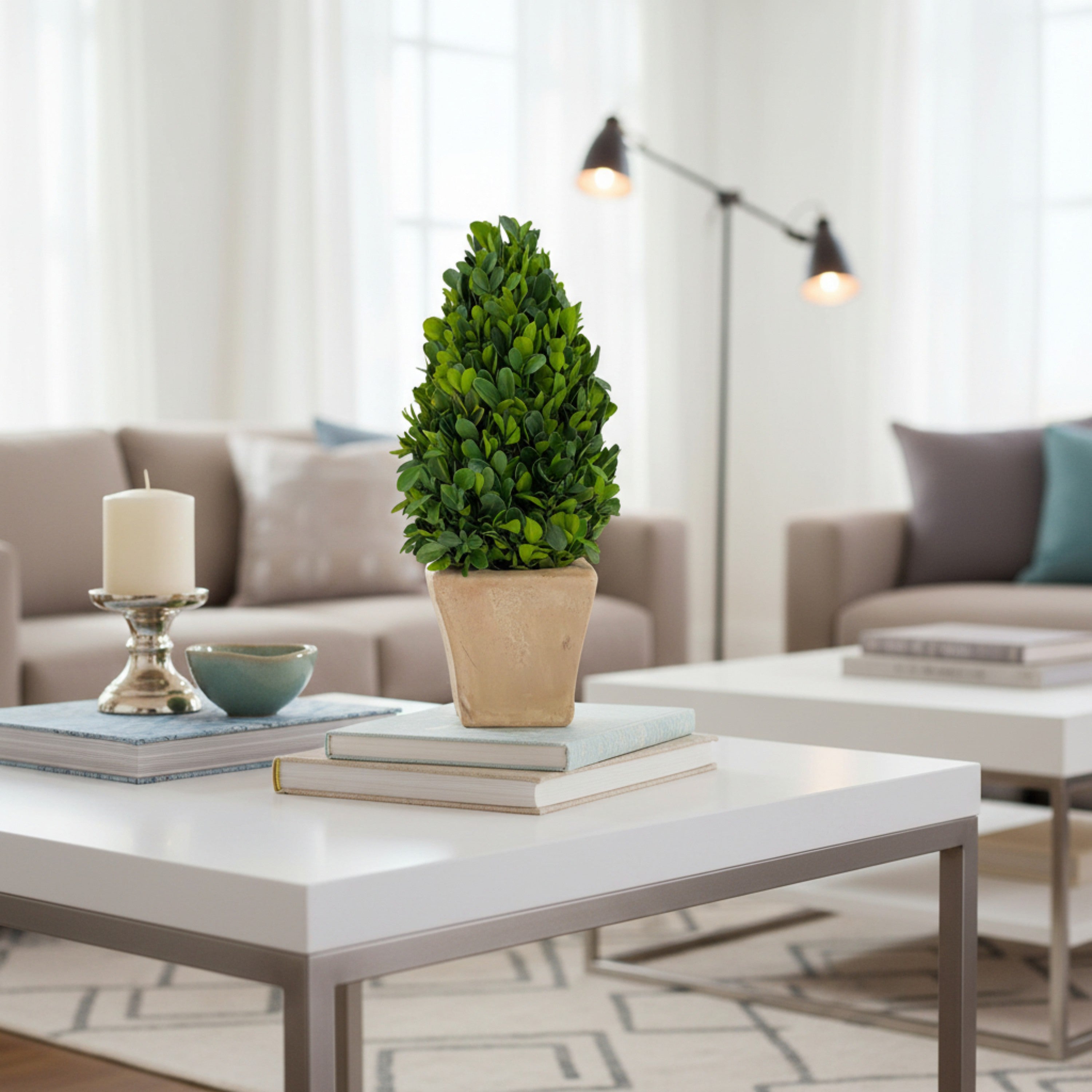 12" Preserved Cone-shaped Boxwood Topiary
