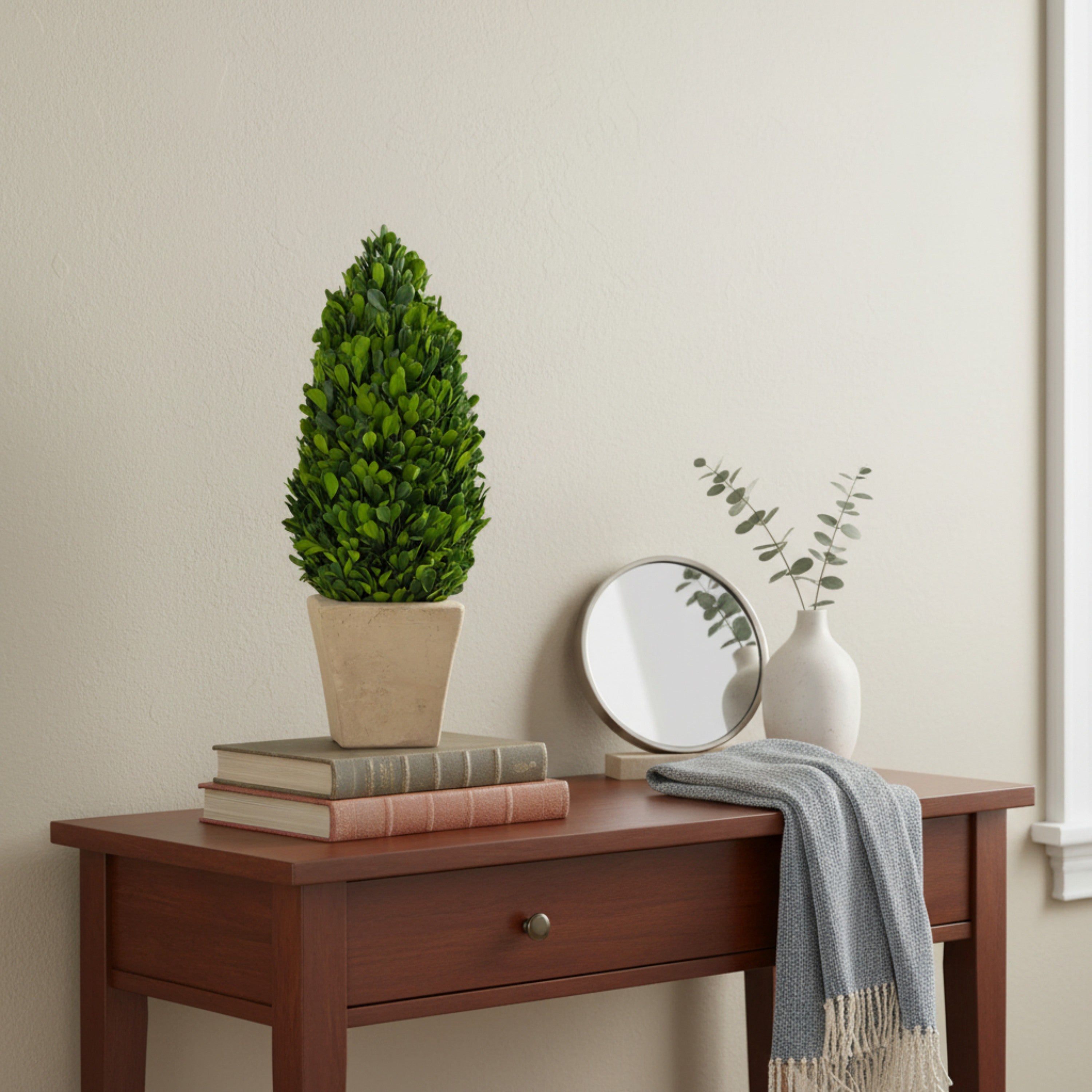 16" Preserved Cone-shaped Boxwood Topiary