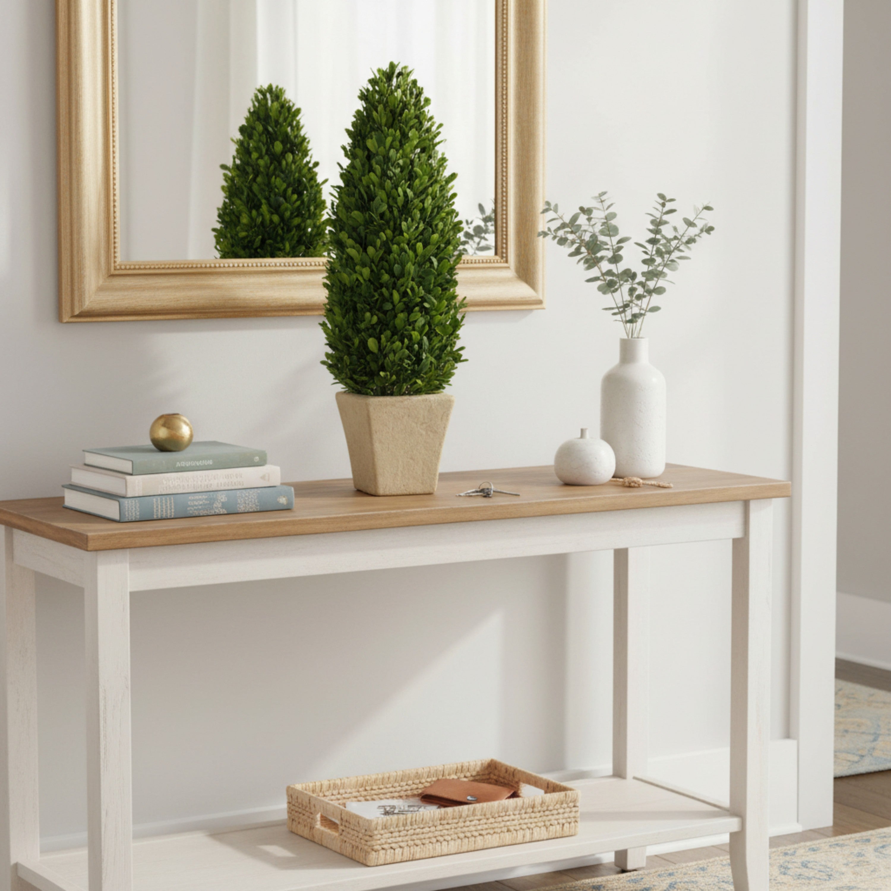 20" Preserved Cone-shaped Boxwood Topiary