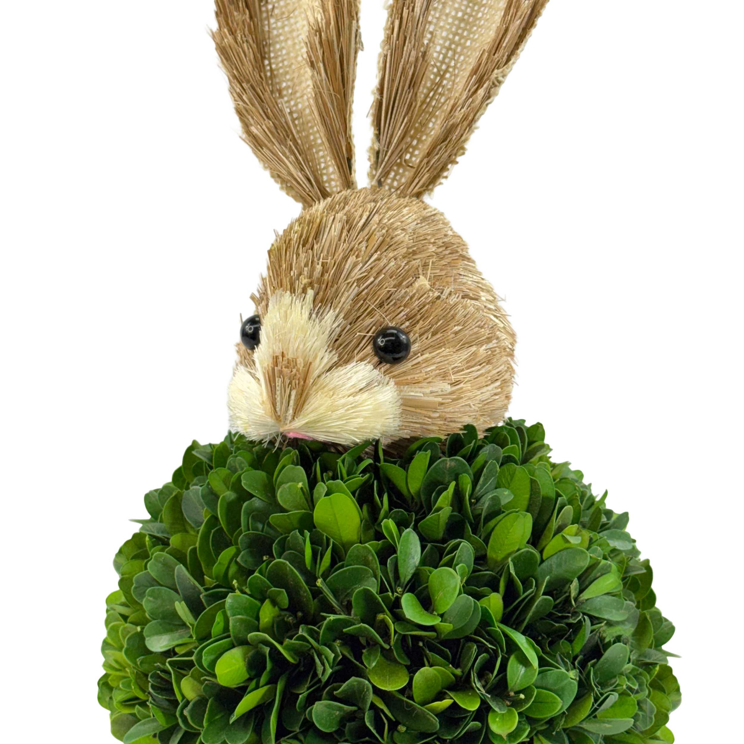 Preserved Single-Ball Boxwood & Cypress Rabbit Shaped Topiary Décor Set of 2