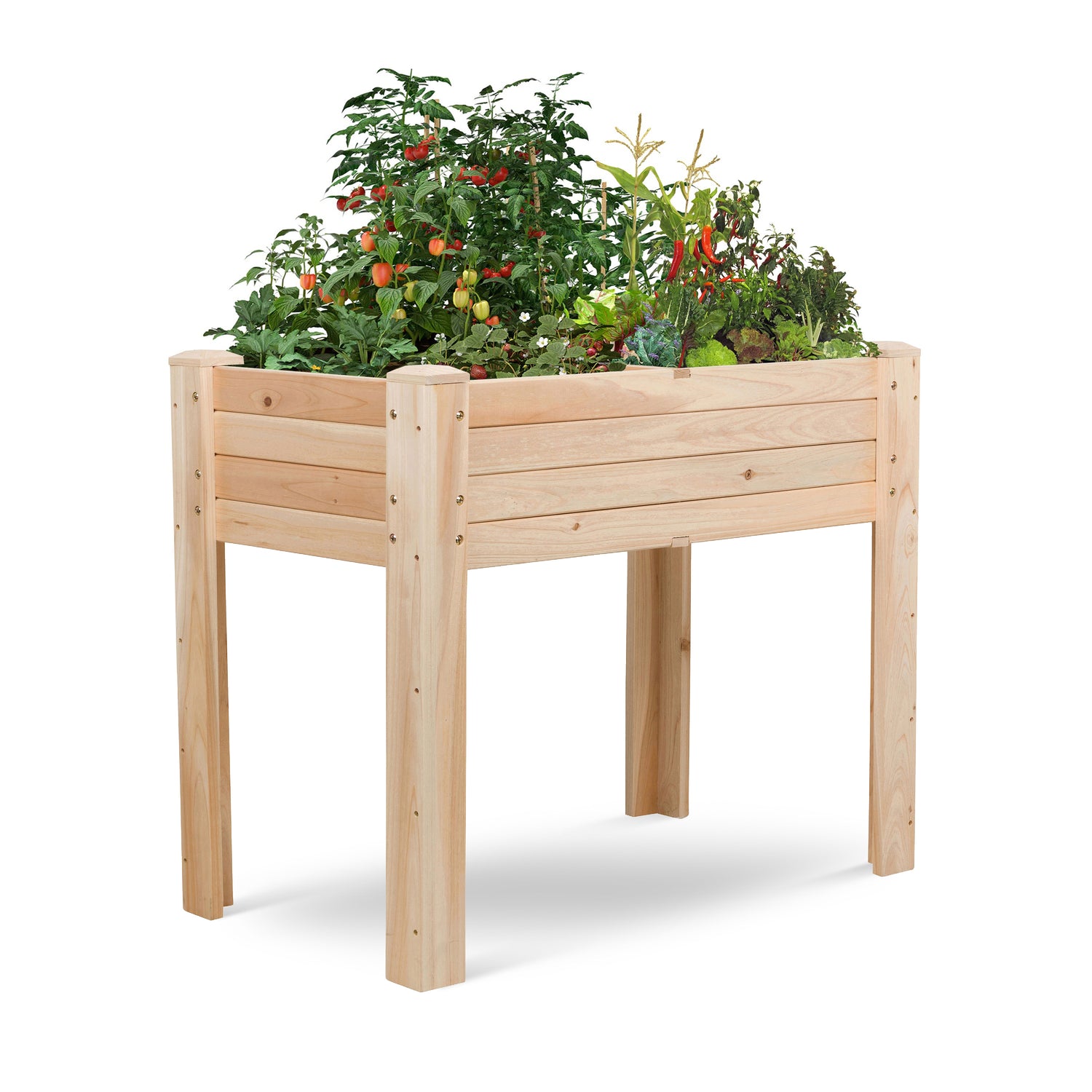 A light natural wood raised garden bed with slatted sides and legs, filled with green plants and small red tomatoes, shown on a clean white background. 