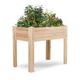 A light natural wood raised garden bed with slatted sides and legs, filled with green plants and small red tomatoes, shown on a clean white background. 