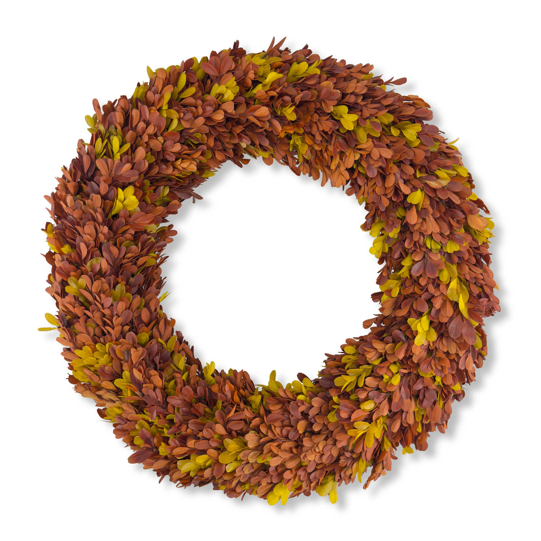 20" Preserved Boxwood Wreath, Autumn