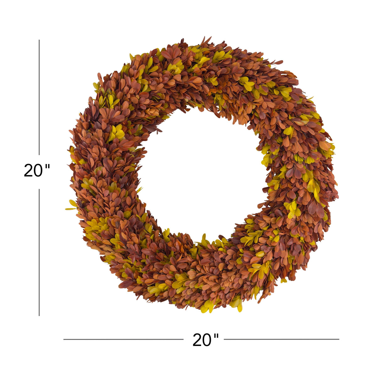 20" Preserved Boxwood Wreath, Autumn