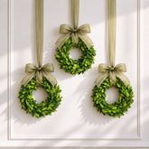 Three real preserved green boxwood wreaths hanging from a white paneled wall, each tied with a wide sage green ribbon bow.
