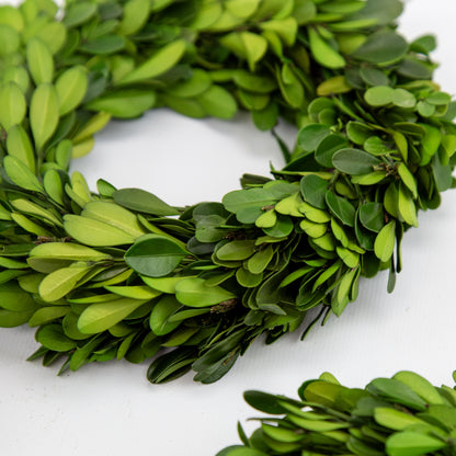 A real preserved boxwood green leafy wreath made of dense oval-shaped foliage, photographed on a plain white background with a smaller cropped section visible in the lower right corner.