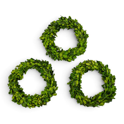 8" Preserved Boxwood Mini Ring Wreath, 3Pk