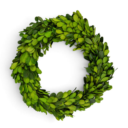 8" Preserved Boxwood Mini Ring Wreath, 3Pk