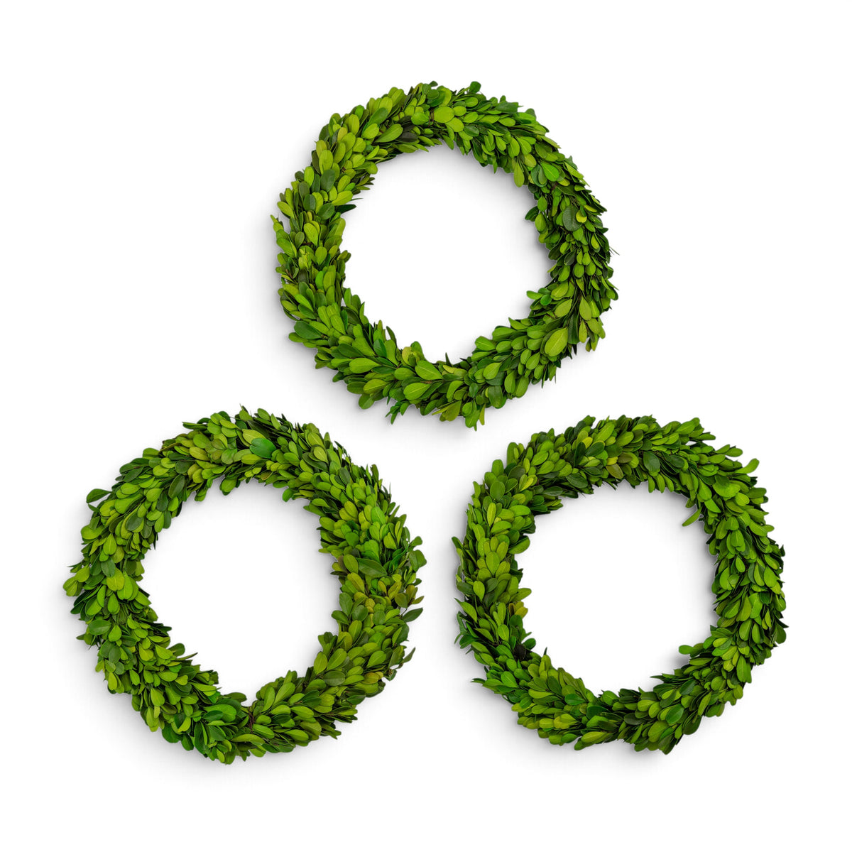 Three real preserved boxwood green leafy wreath-shaped decorative pieces arranged in a triangle on a plain white background.