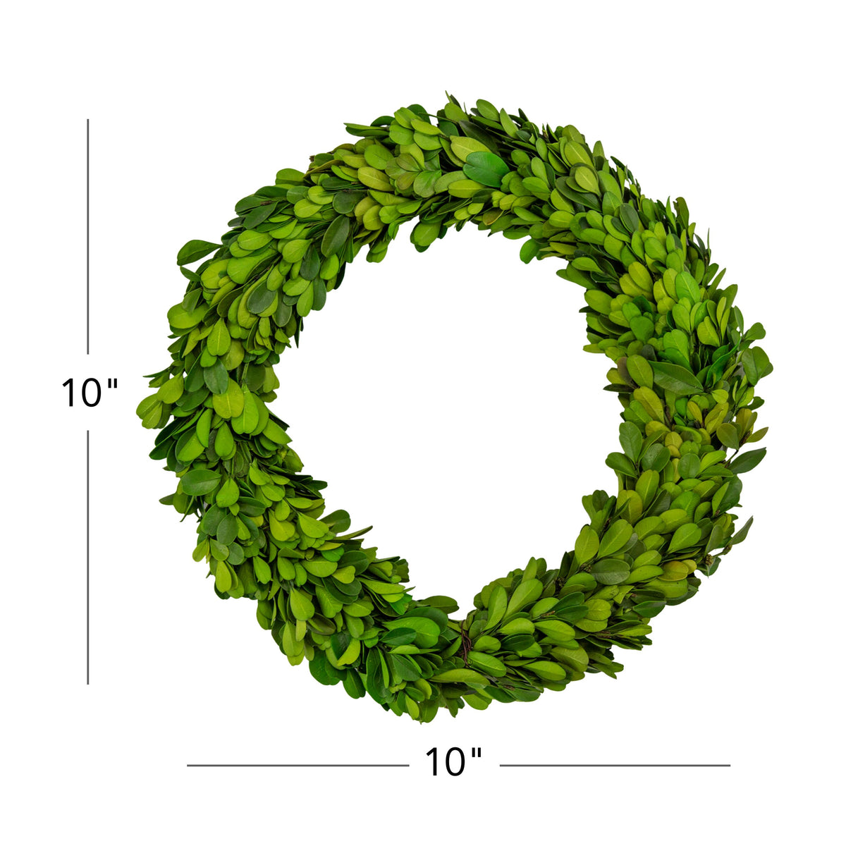 10" Preserved Boxwood Mini Ring Wreath, 3Pk