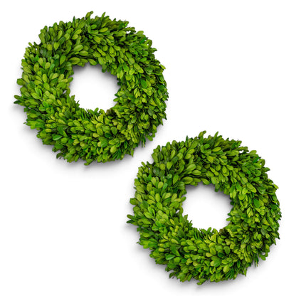 14" Preserved Boxwood Mini Ring Wreath, 2Pk