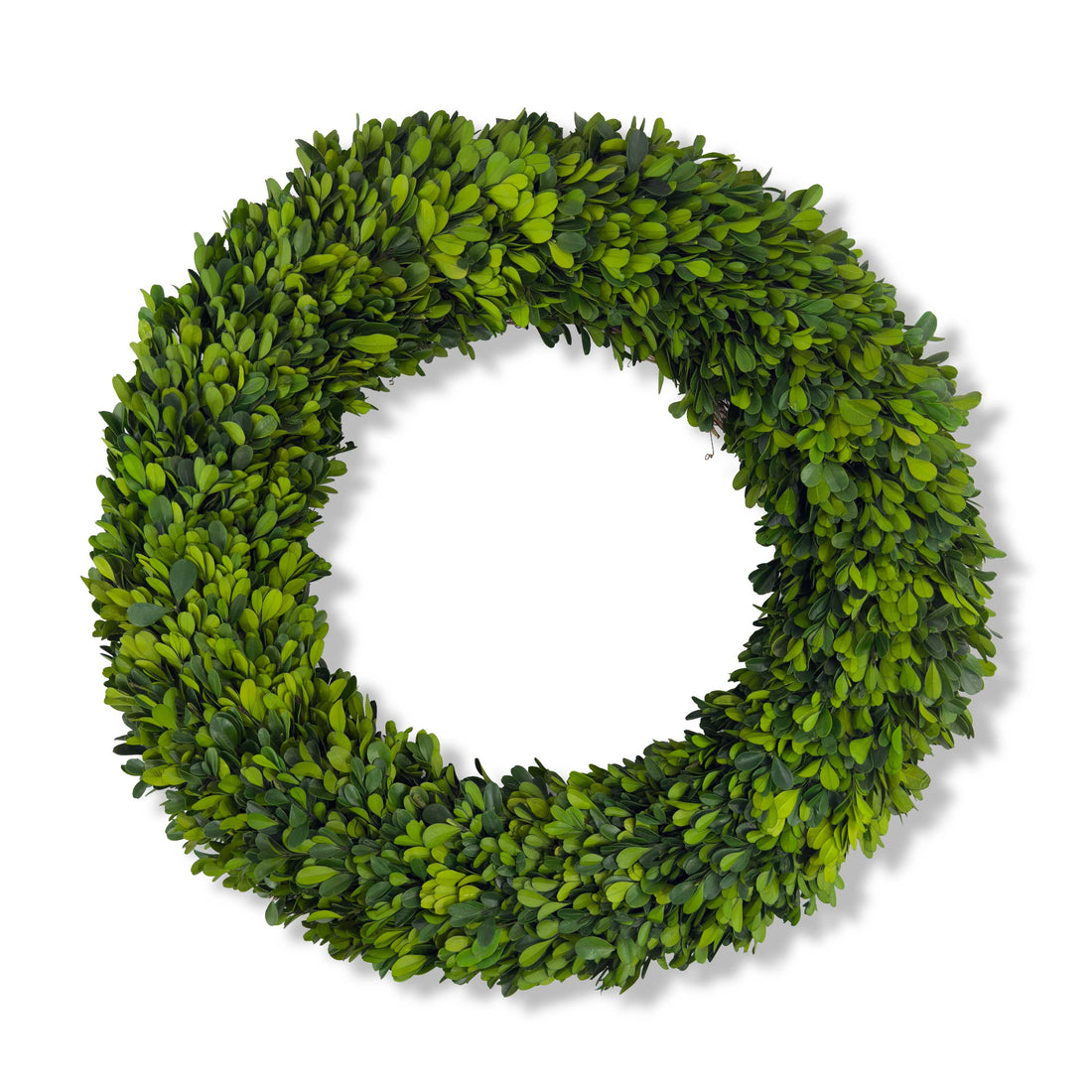 20" Preserved Boxwood Wreath