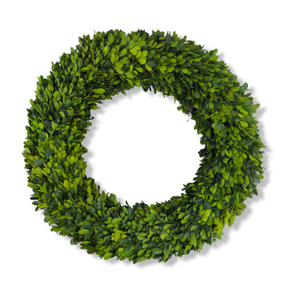 20" Preserved Boxwood Wreath