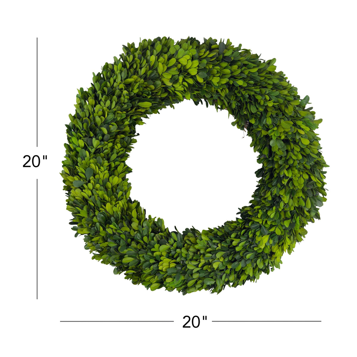 20" Preserved Boxwood Wreath