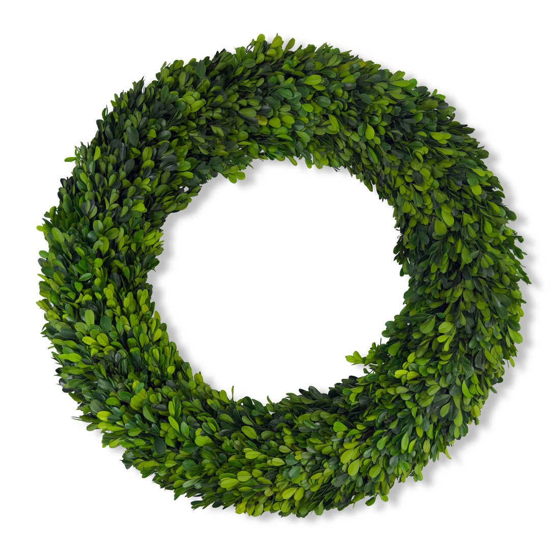 24" Preserved Boxwood Wreath