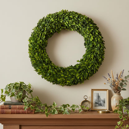 24" Preserved Boxwood Wreath