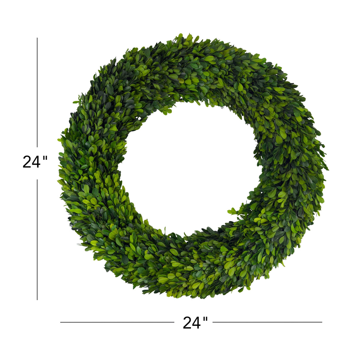 24" Preserved Boxwood Wreath