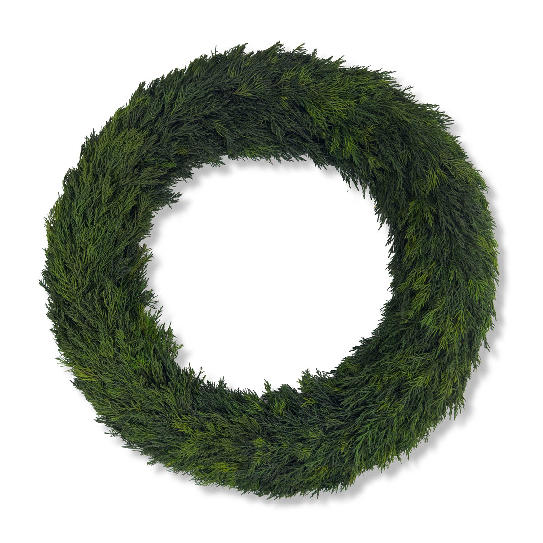 24" Preserved Cypress Wreath