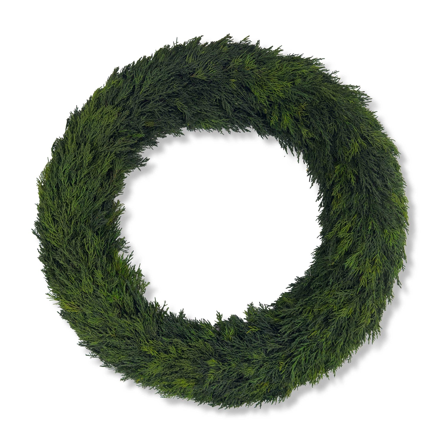24" Preserved Cypress Wreath