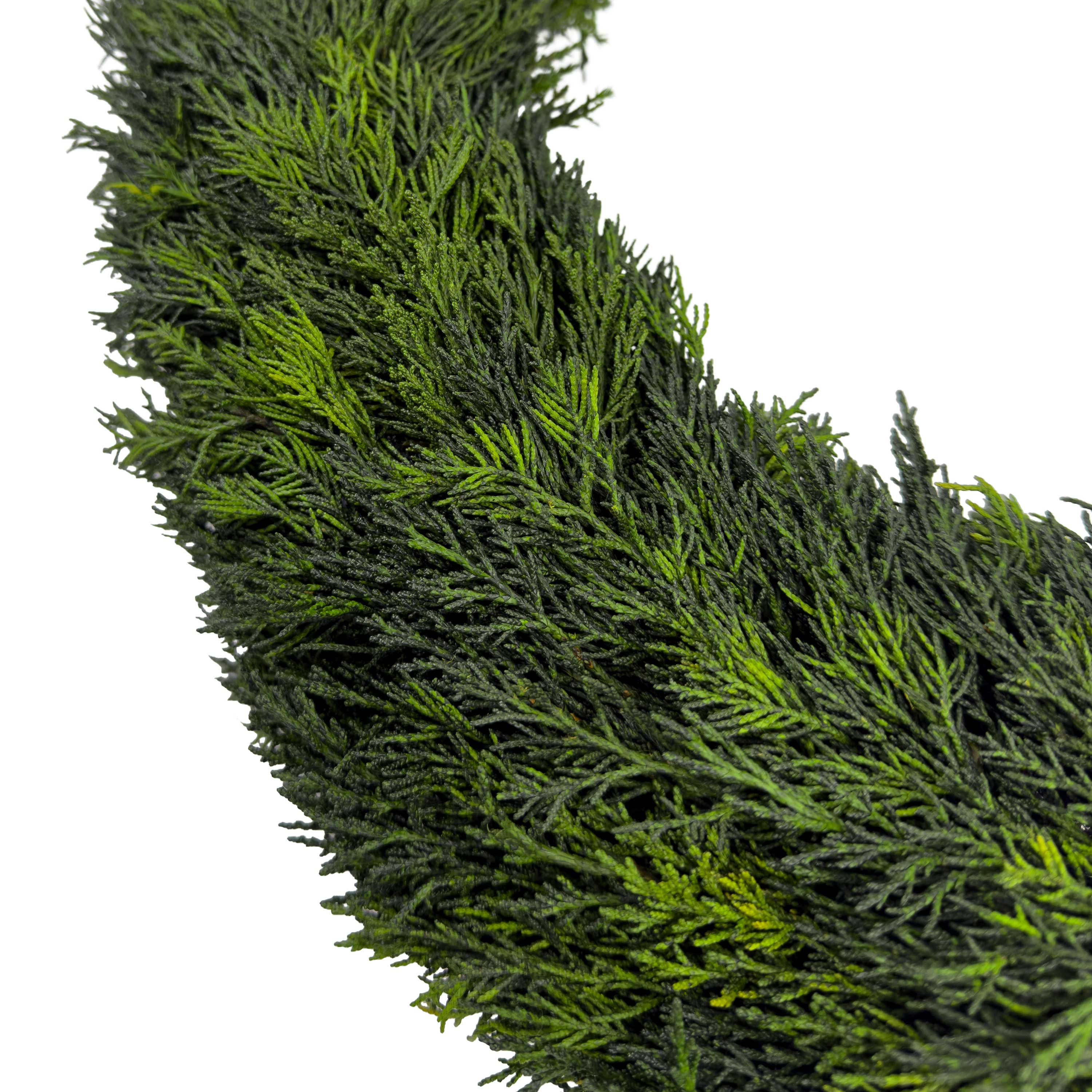 24" Preserved Cypress Wreath