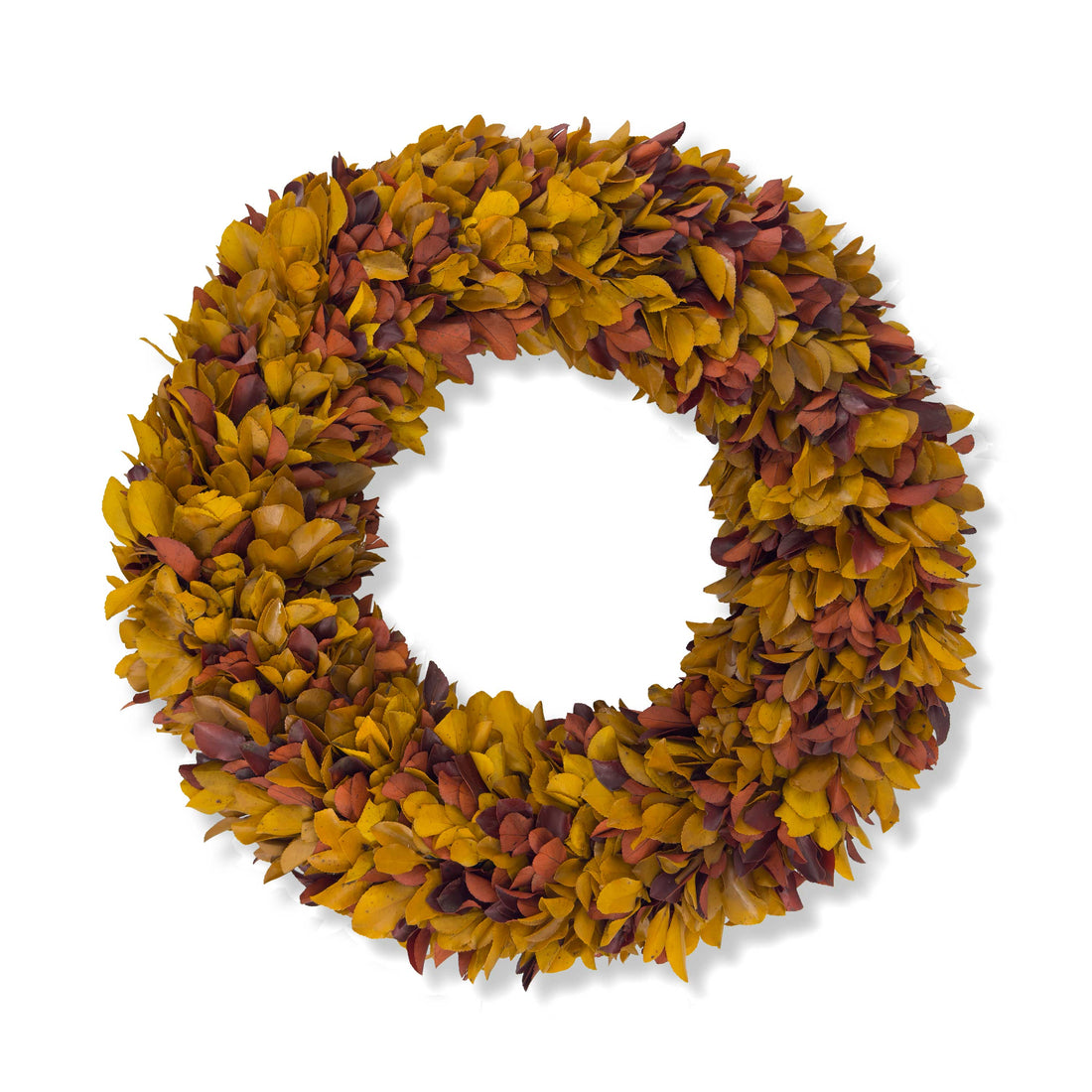 20" Preserved Holly Wreath, Autumn