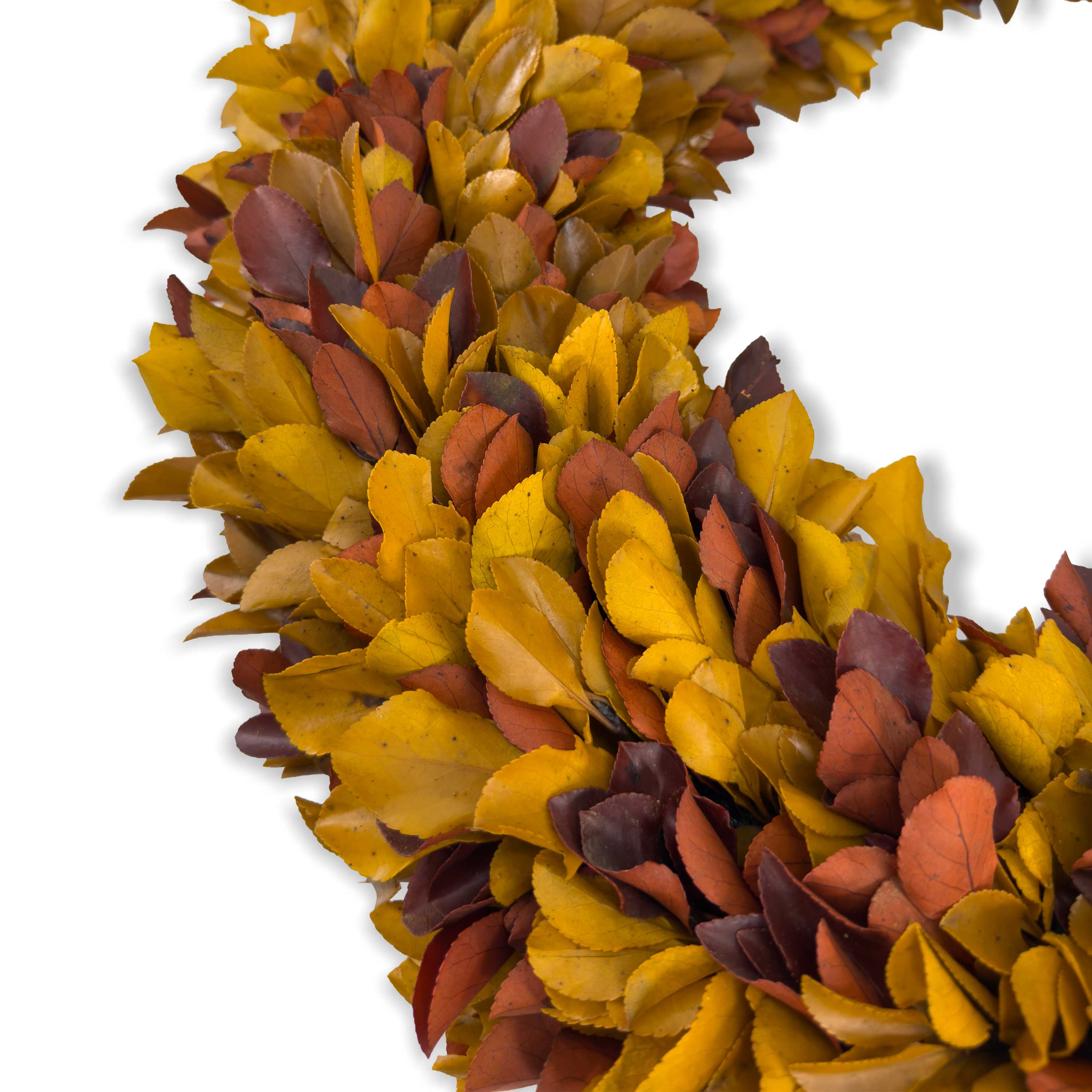 20" Preserved Holly Wreath, Autumn