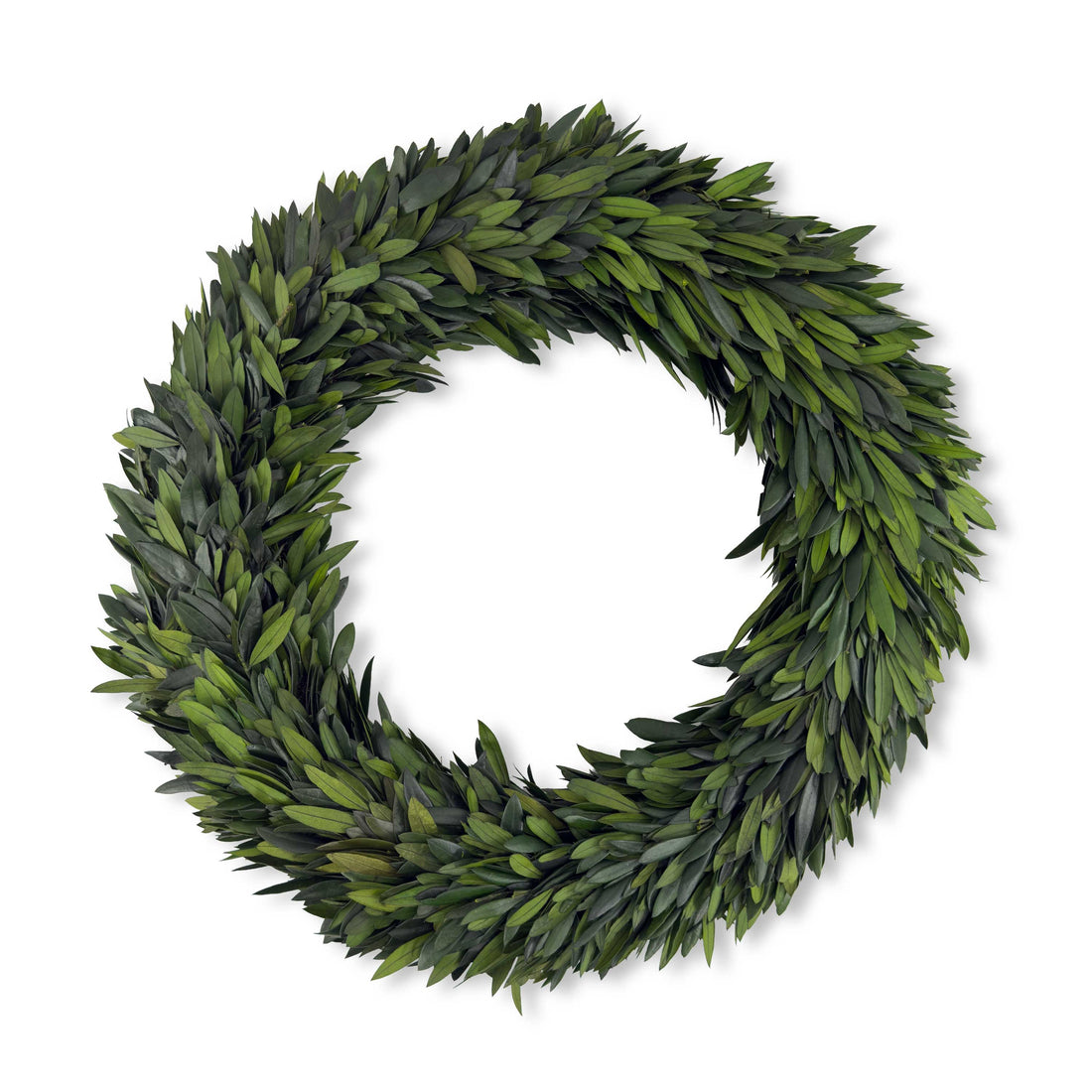 20" Preserved Olive Wreath