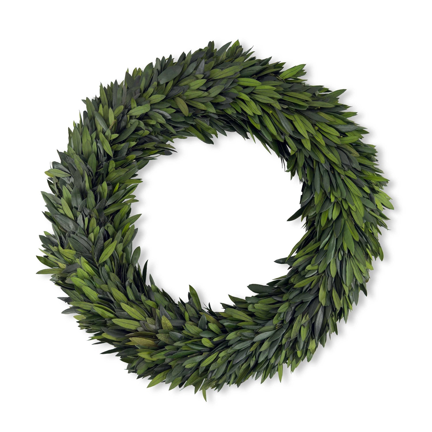 20" Preserved Olive Wreath