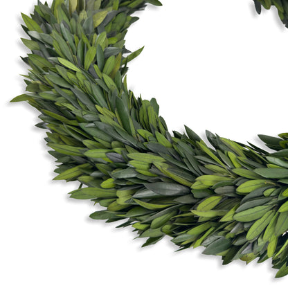 20" Preserved Olive Wreath