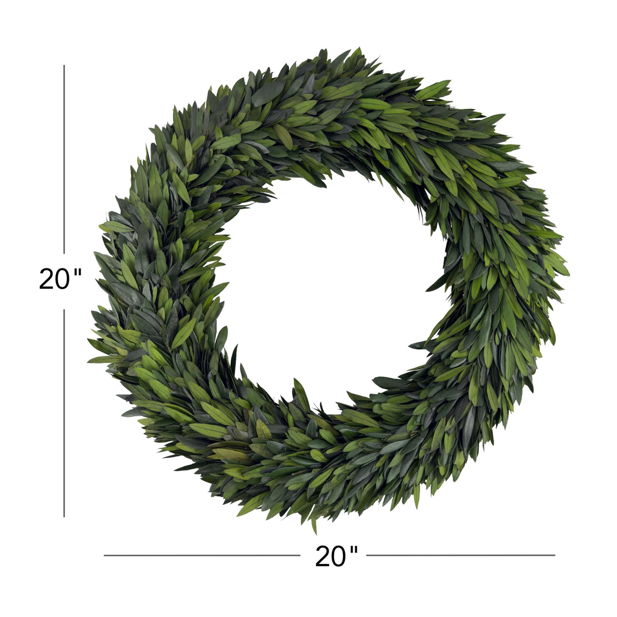 20" Preserved Olive Wreath