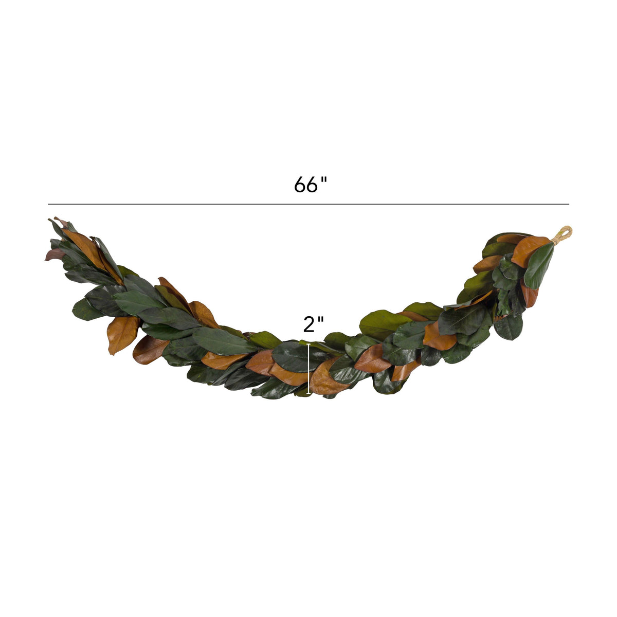 5.5' Preserved Magnolia Garland, 2Pk
