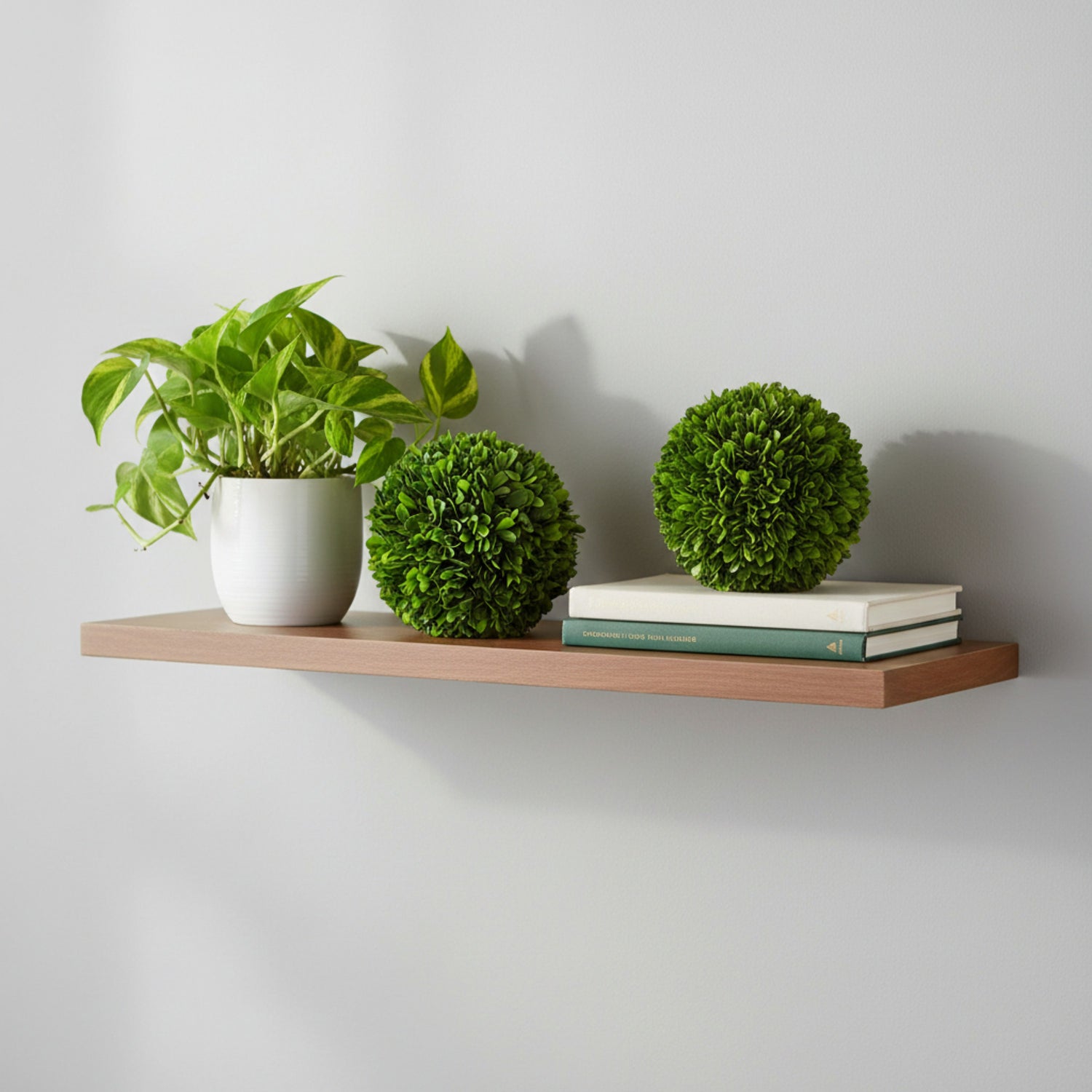6" Preserved Boxwood Ball, 2Pk