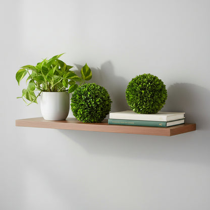 6" Preserved Boxwood Ball, 2Pk