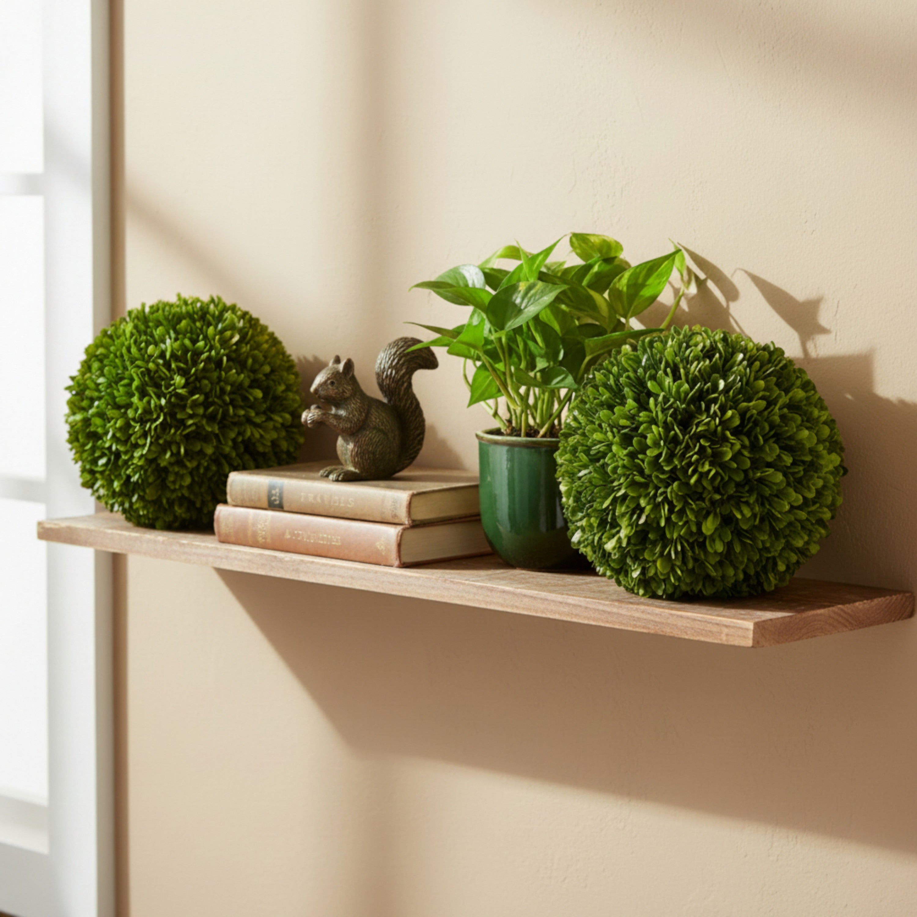 8" Preserved Boxwood Ball, 2Pk