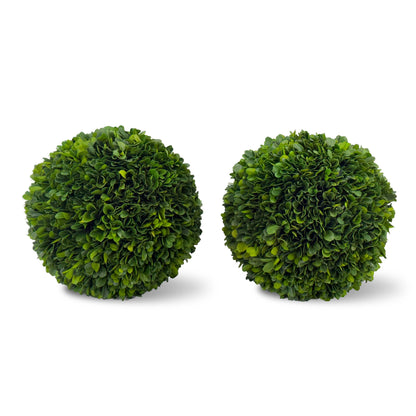 8" Preserved Boxwood Ball, 2Pk