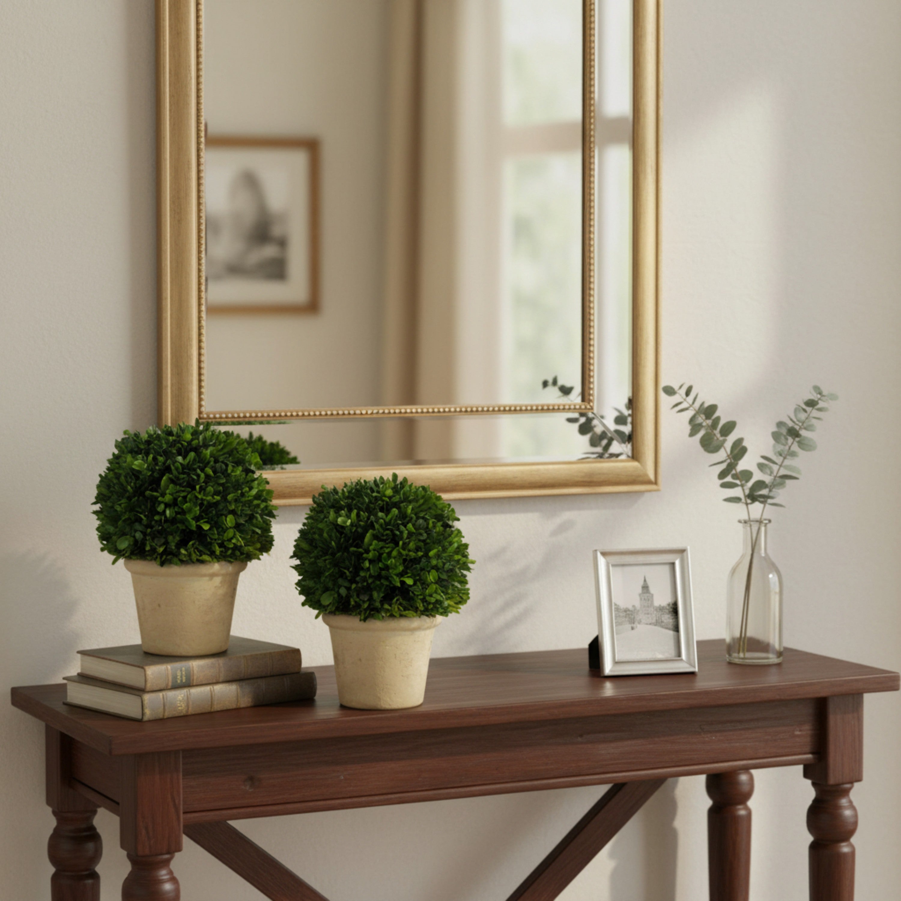 8" Preserved Boxwood Topiary, 2Pk