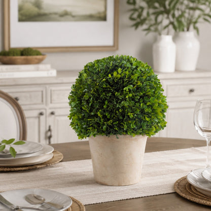 16" Preserved Boxwood Topiary