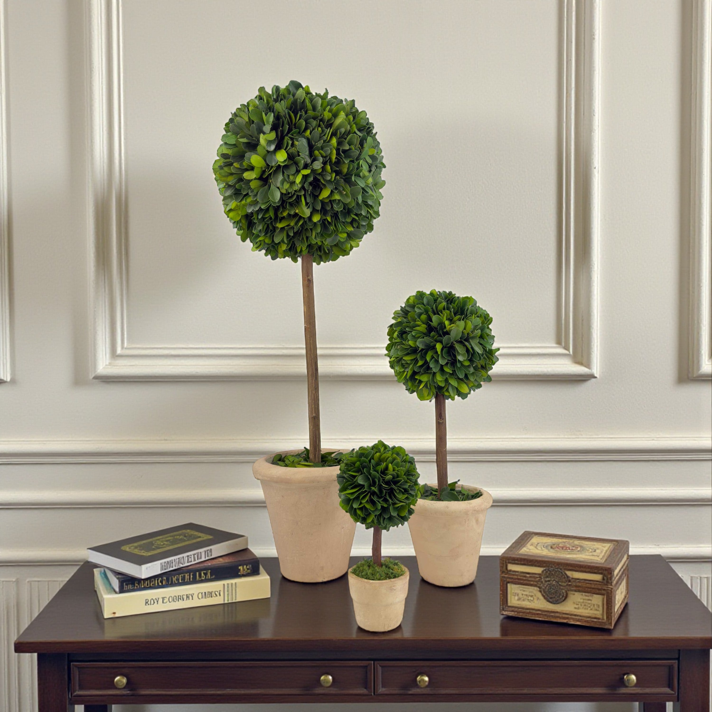 Set of 3 Preserved Single-ball Boxwood Topiary Pots