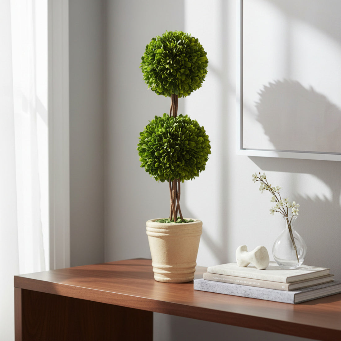 20" Preserved Double-Ball Boxwood Topiary