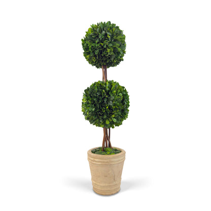 20" Preserved Double-Ball Boxwood Topiary