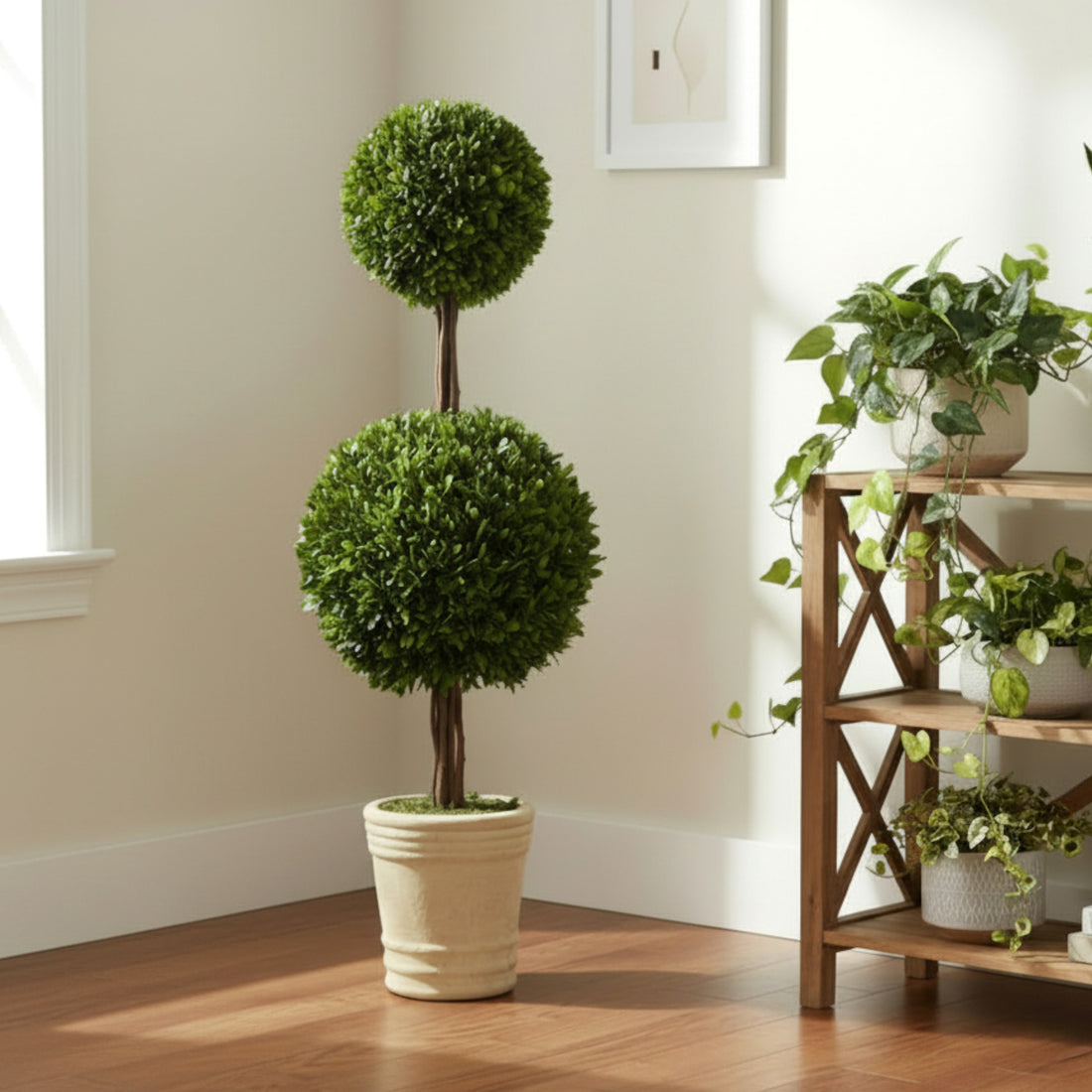 36" Preserved Double-Ball Boxwood Topiary