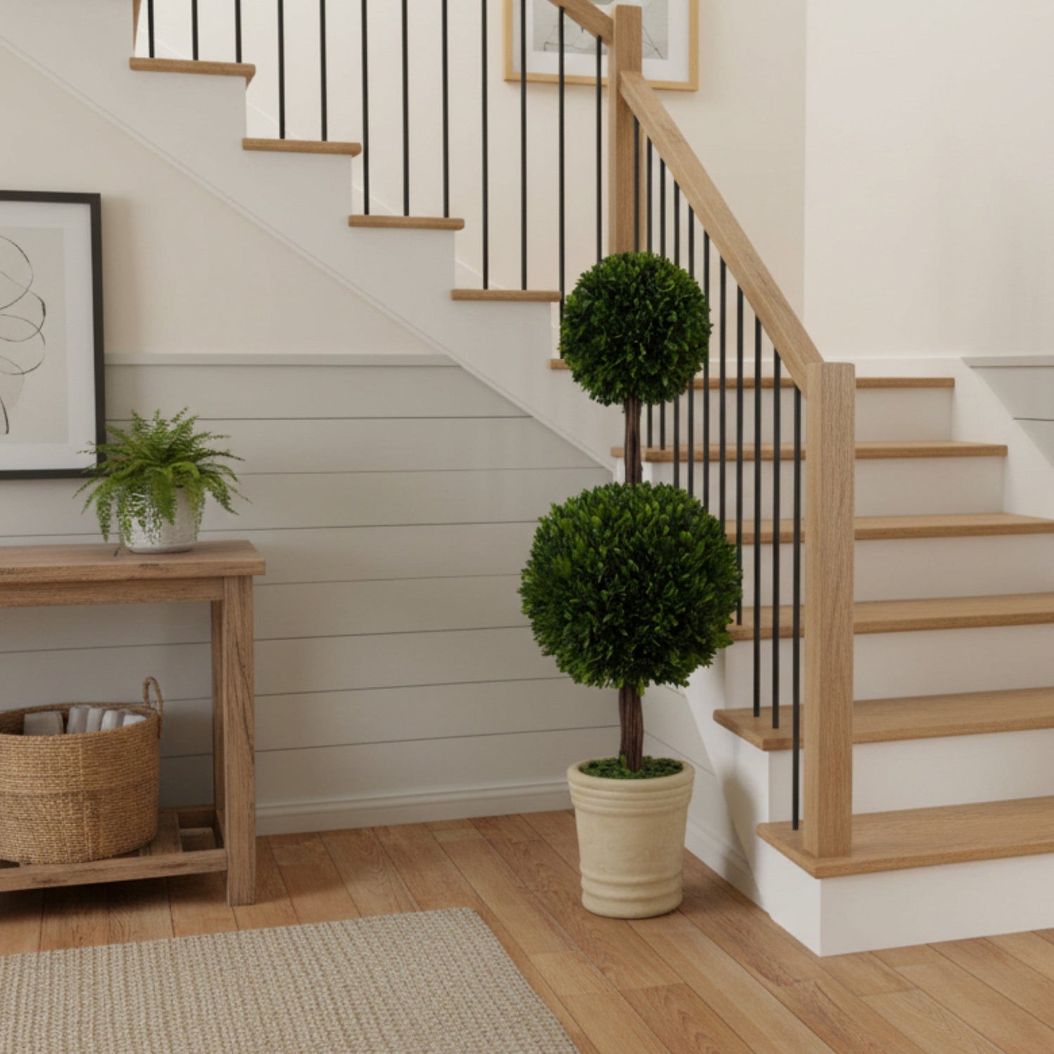 36" Preserved Double-Ball Boxwood Topiary